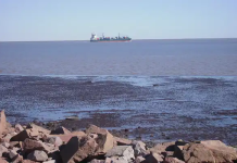 Exigen al municipio informes sobre los niveles de bacterias en Arroyo Pareja