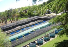 Siembra de alevinos de pejerrey para recuperar la fauna de la Laguna Chasicó