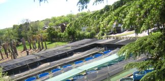 Siembra de alevinos de pejerrey para recuperar la fauna de la Laguna Chasicó