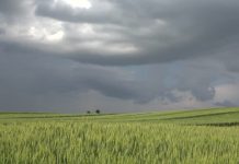 El invierno en el sudoeste tuvo una cantidad inusual de días nublados