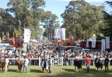 Cuándo son las exposiciones rurales en la región
