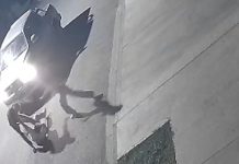 Se hizo viral una golpiza a un joven en Pigüé