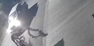 Se hizo viral una golpiza a un joven en Pigüé