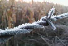 Invierno: estiman temperaturas normales y quizás más lluvias