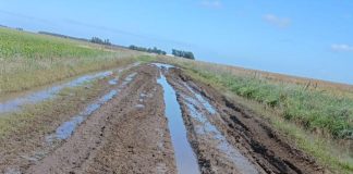 La Provincia reasigna fondos del Inmobiliario Rural y hay polémica con el campo